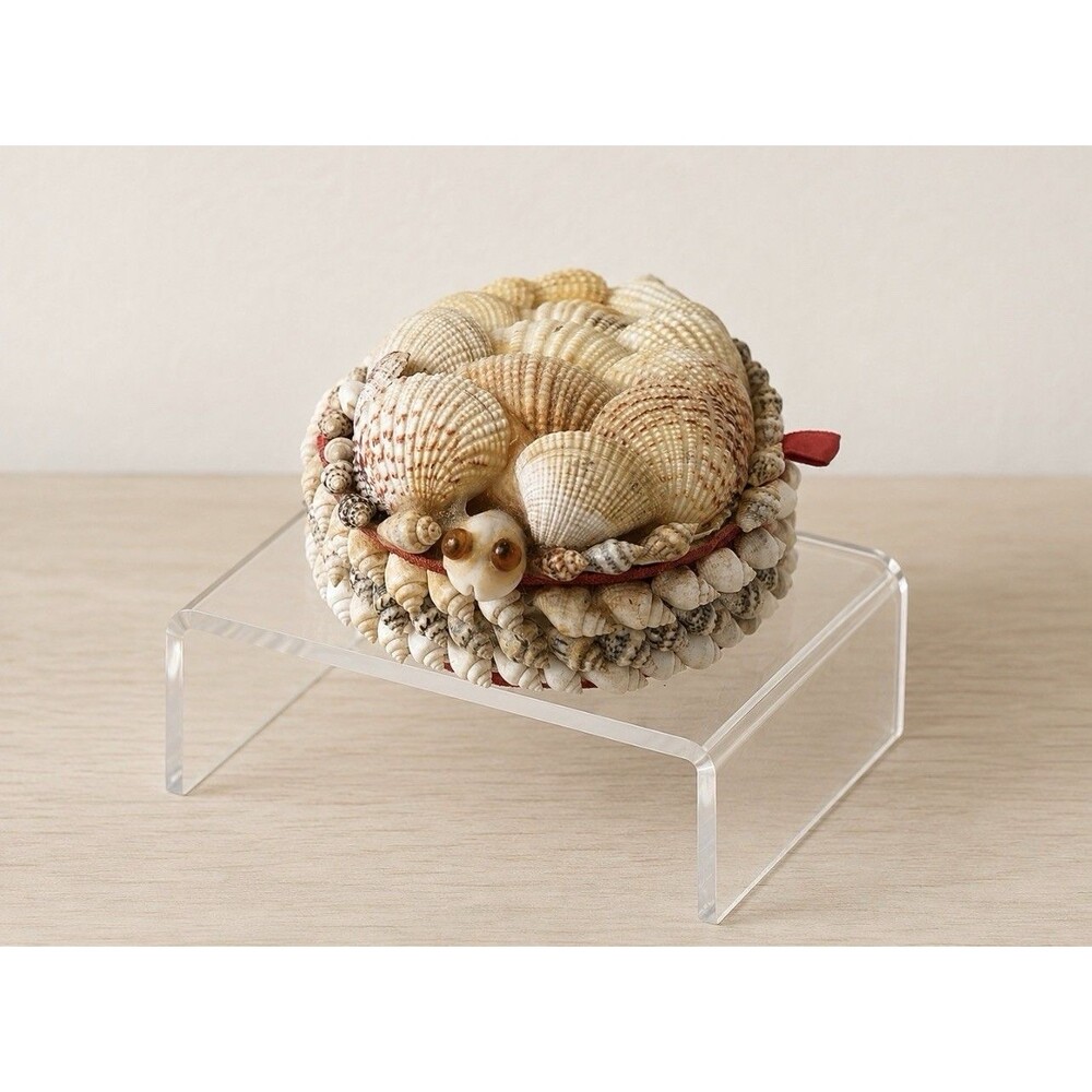 Vintage Seashell Turtle Trinket Box Red Felt Lined Coastal Decor 4"